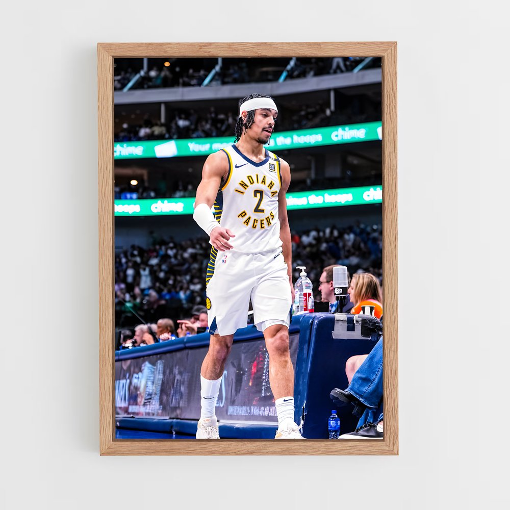 Poster La Garde des Pacers – affiche Basketball (vue 4)